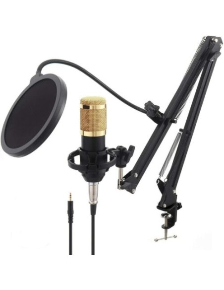 kit Microfono a condensatore professionale per Live streaming studio computer PC