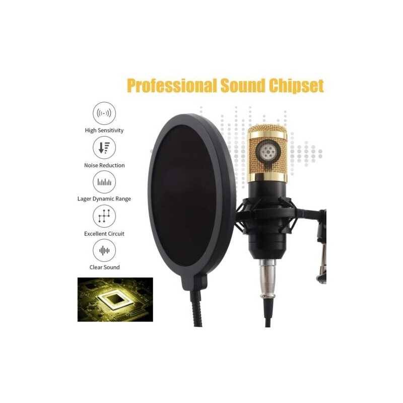 kit Microfono a condensatore professionale per...