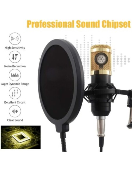 kit Microfono a condensatore professionale per Live streaming studio computer PC