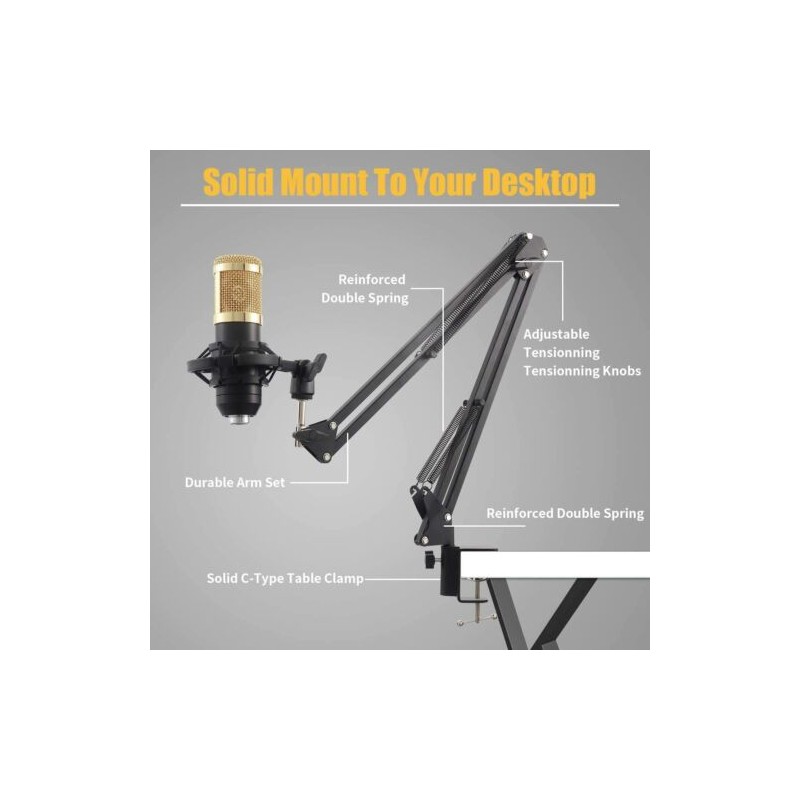 kit Microfono a condensatore professionale per...