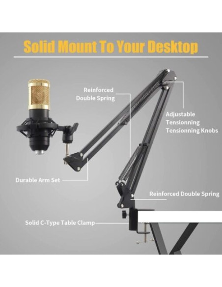 kit Microfono a condensatore professionale per Live streaming studio computer PC