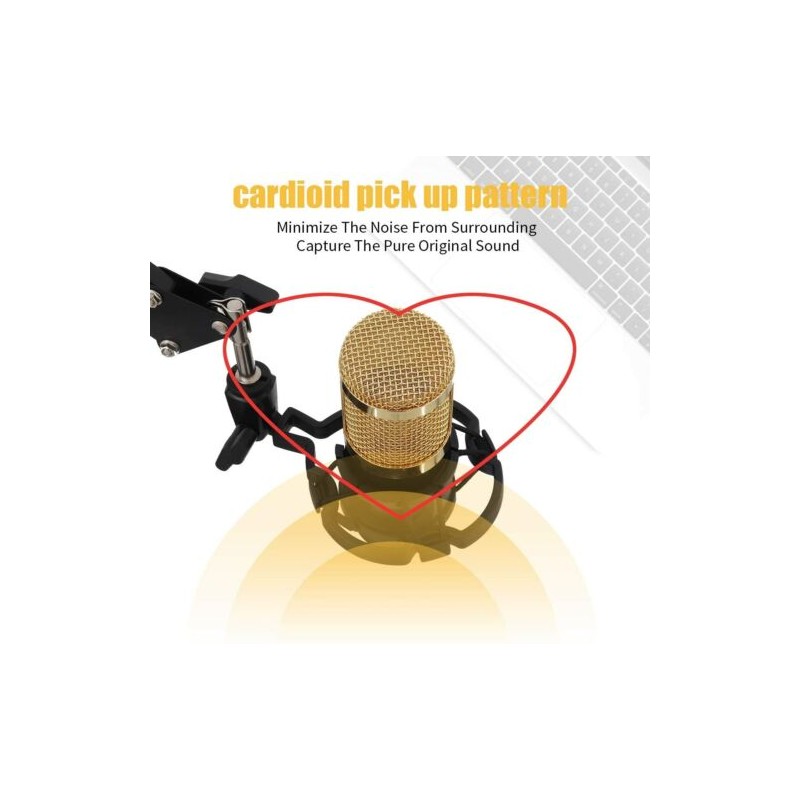 kit Microfono a condensatore professionale per...