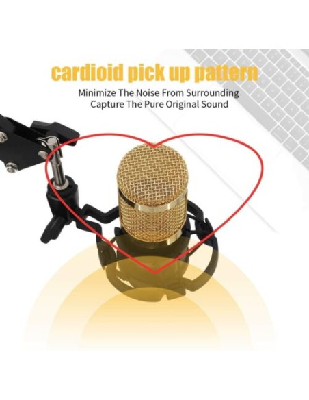 kit Microfono a condensatore professionale per Live streaming studio computer PC