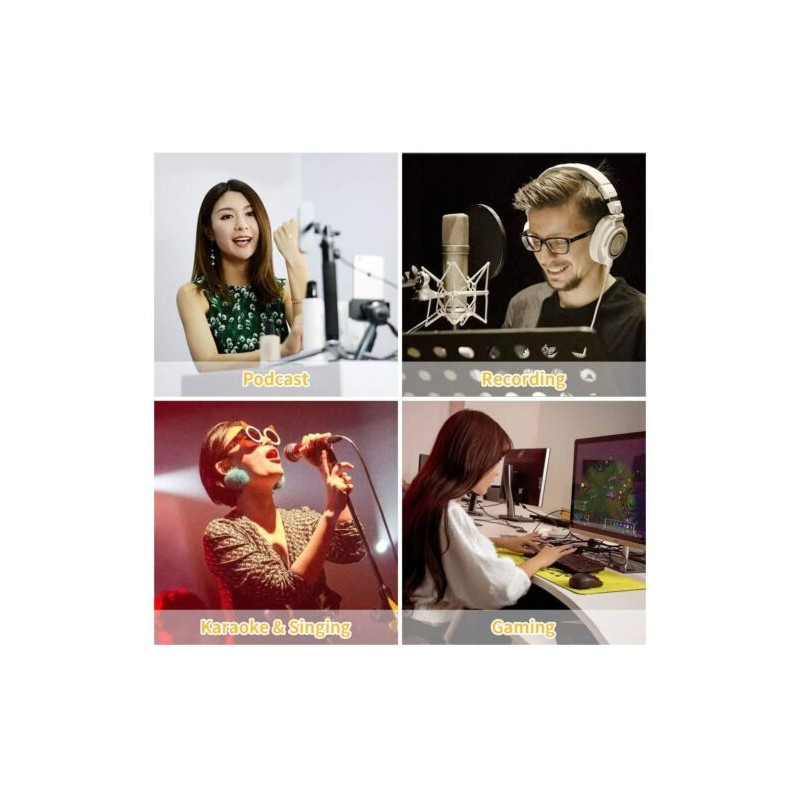 kit Microfono a condensatore professionale per...