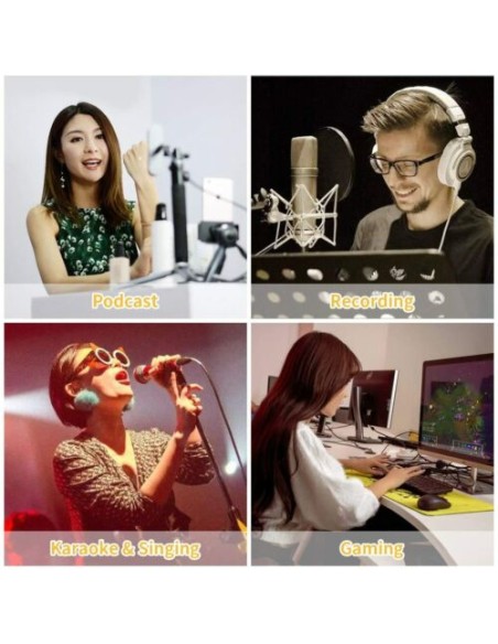 kit Microfono a condensatore professionale per Live streaming studio computer PC