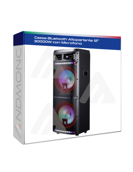 Cassa Bluetooth Altoparlante 12” 30000W con Microfono