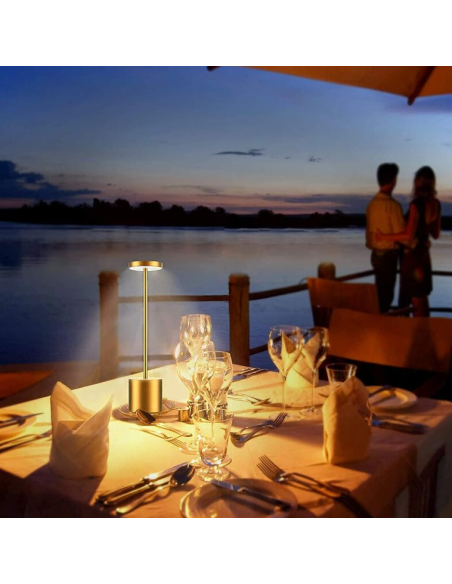 2 Pezzi Lampada da tavolo a LED wireless alluminio