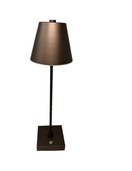 Lampada led da tavolo touch Marrone con batteria ricaricabile usb con 3 tonalita di colore dimmerabile