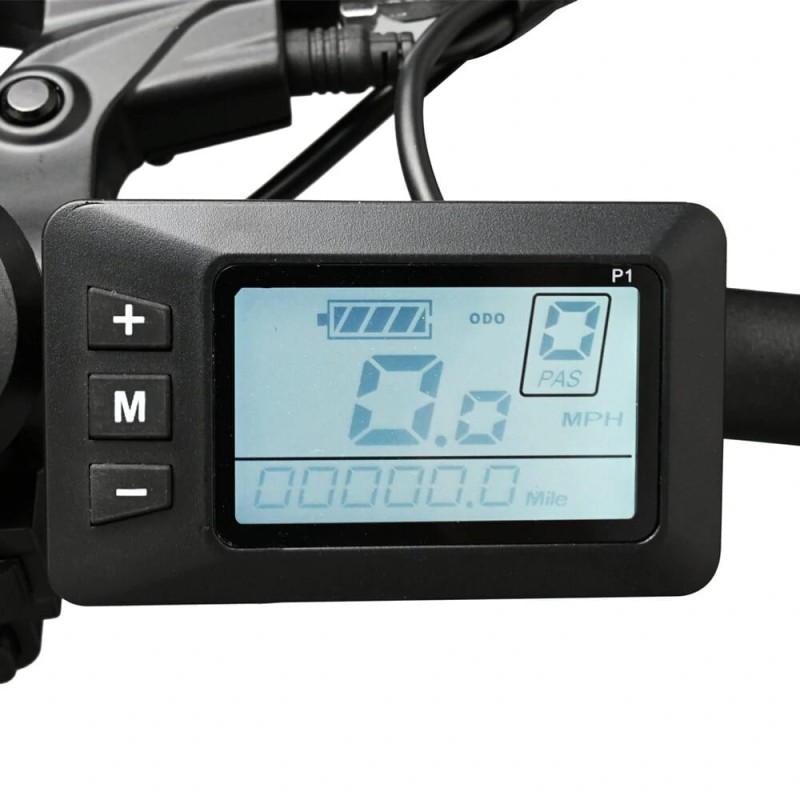 2x Bicicletta elettrica pieghevole 500W