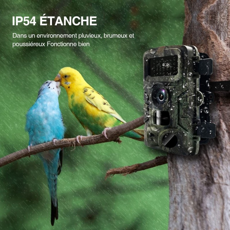 2x Fotocamera Caccia 36MP 1080P HD LCD 2.0"...