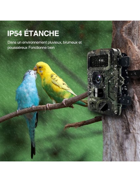 2x Fotocamera Caccia 36MP 1080P HD LCD 2.0" Impermeabile fototrappola Infrarossi