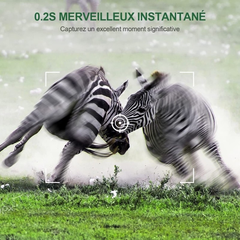 2x Fotocamera Caccia 36MP 1080P HD LCD 2.0"...