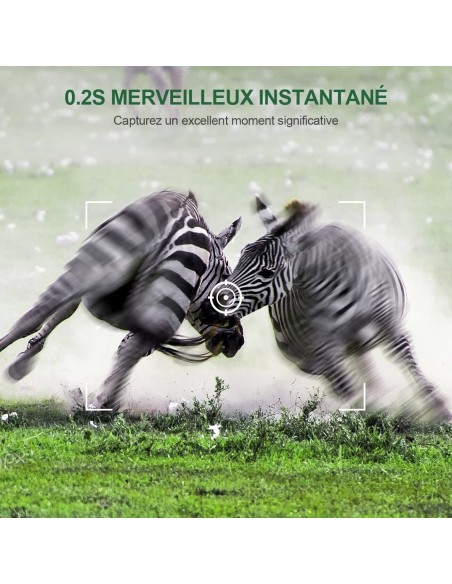 4x Fotocamera Caccia 36MP 1080P HD LCD 2.0" Impermeabile fototrappola Infrarossi