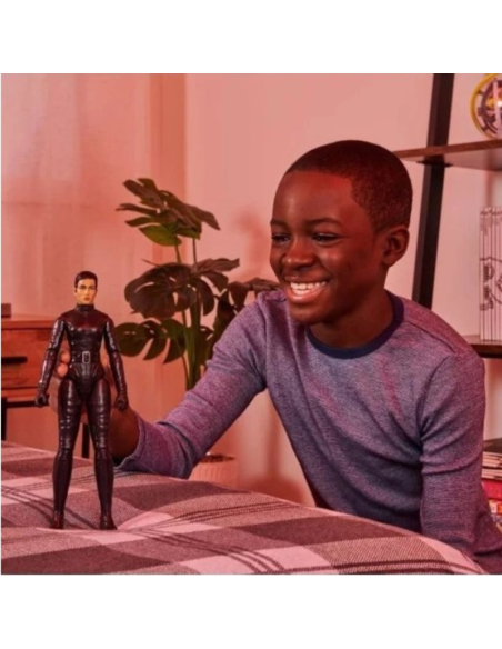 BATMAN il film DC COMICS grande figura mobile originale SELINA KYLE 28 cm