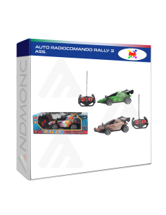 Auto Radiocomando Rally - giocattolo