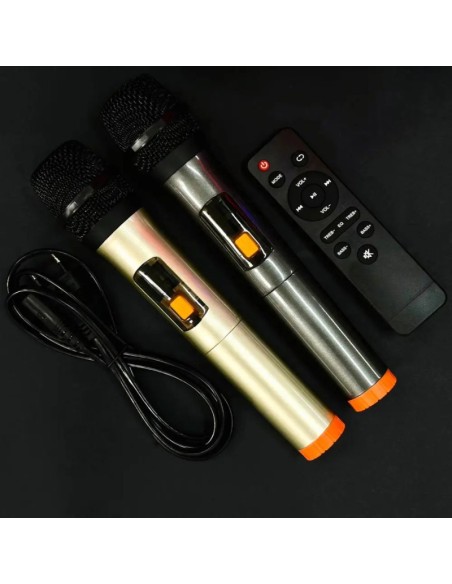 Altoparlante Karaoke wireless 50000W con due microfoni , illuminazione RGB