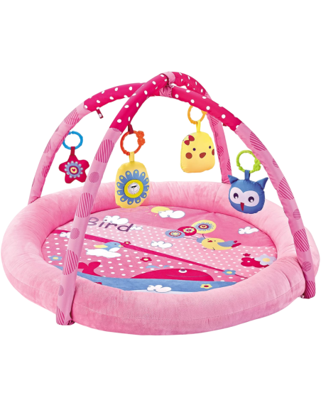 Teorema Giocattoli- Baby Palestrina Rosa Multiattività 2 in 1, per Neonato, Morbida con Sonagli Lavabili, 67323