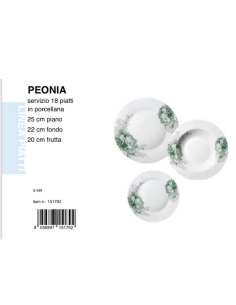 Servizio 18 Piatti Porcellana linea peonia 2