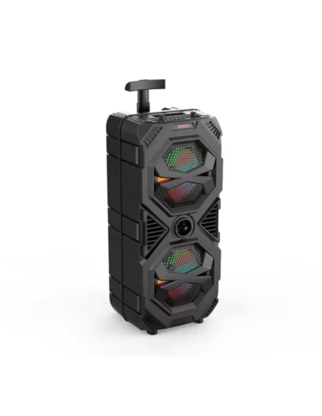 Altoparlante ZQS-8212 (8"x2/40W/FM) Karaoke