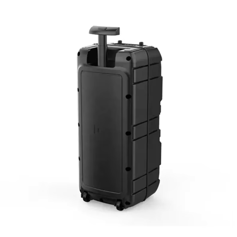 Altoparlante ZQS-8212 (8"x2/40W/FM) Karaoke