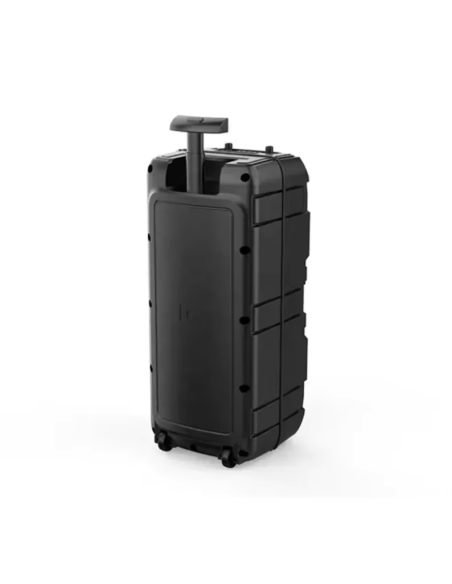 Altoparlante ZQS-8212 (8"x2/40W/FM) Karaoke