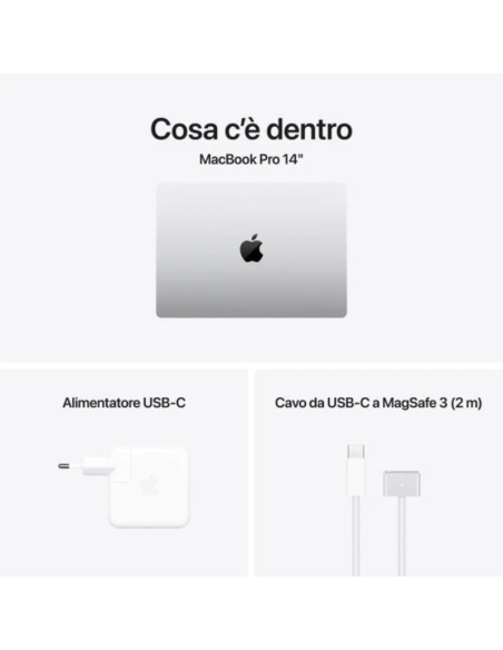 Apple MacBook Pro 2024 14" M4 10C/10G 24/1TB Silver MCX14T/A