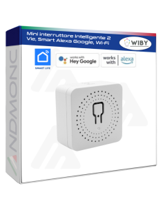 Mini interruttore Intelligente 2 Vie, Smart Alexa Google,...
