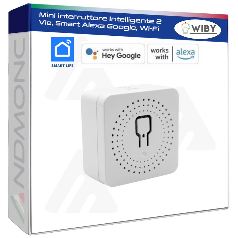Mini interruttore Intelligente 2 Vie, Smart Alexa Google, Wi-Fi