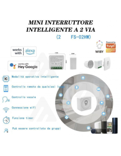 Mini interruttore Intelligente 2 Vie, Smart Alexa Google,... 2