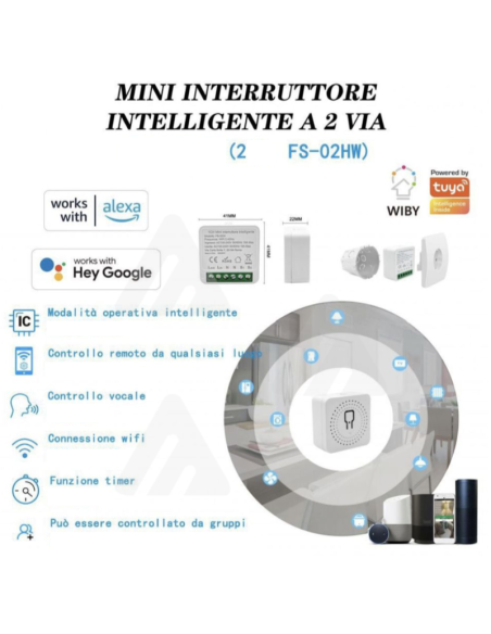 Mini interruttore Intelligente 2 Vie, Smart Alexa Google, Wi-Fi