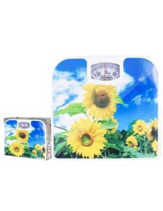 Bilancia pesa persone Meccanica HM-1508D 2