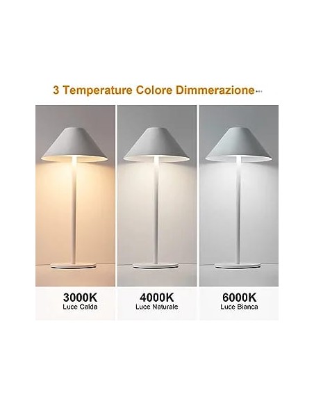 Lampada da Tavolo LED Dimmerabile