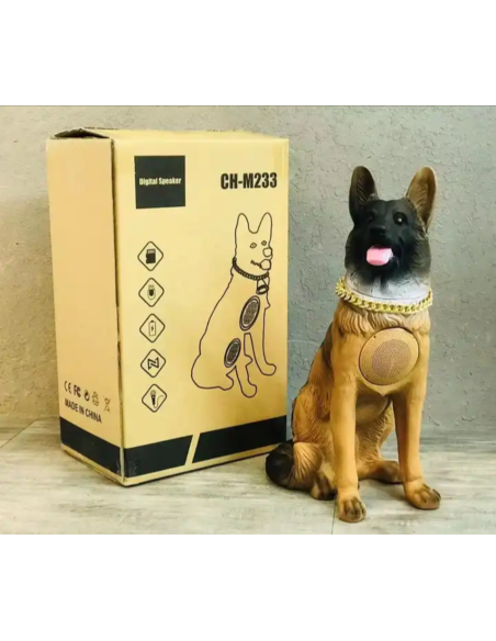 Cassa bluetooth cane wireless