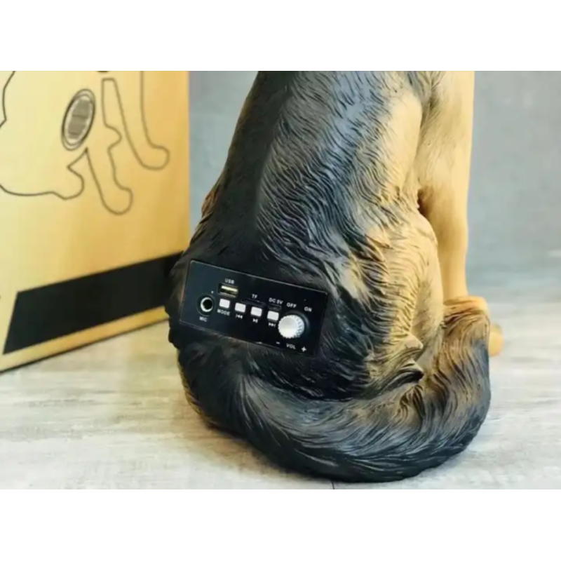 Cassa bluetooth cane wireless