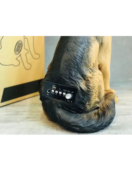 Cassa bluetooth cane wireless