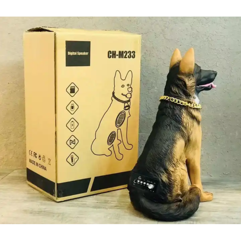 Cassa bluetooth cane wireless