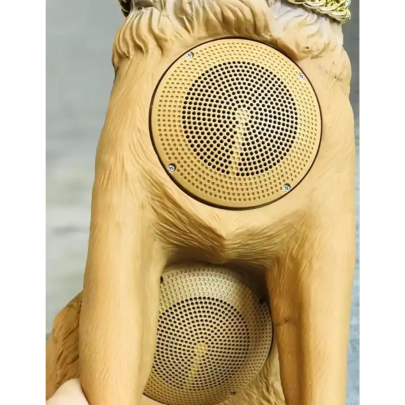 Cassa bluetooth cane wireless