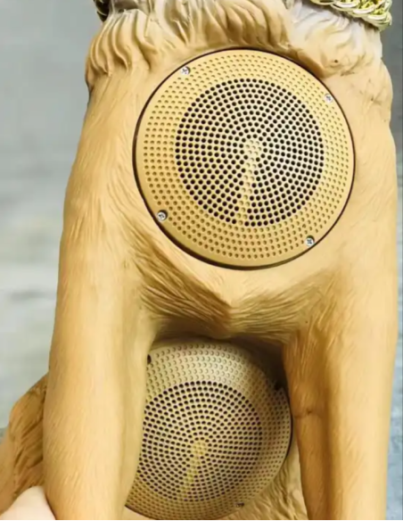 Cassa bluetooth cane wireless