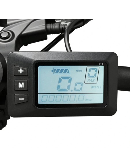 Bicicletta elettrica pieghevole 500W