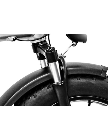 E-bike Bici Pieghevole 250 watt Bianco Iceberg-X5