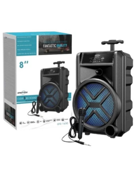Altoparlante con Microfono, GTS-1630, 23,2x19,1x35,8cm