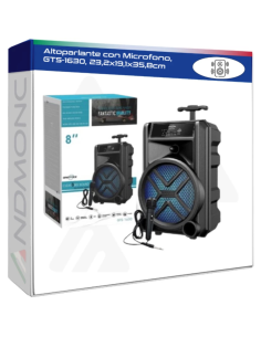 Altoparlante con Microfono, GTS-1630, 23,2x19,1x35,8cm