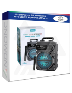 Altoparlante BT, wireless, GTS-2065, 18,8x14,1x27,4cm