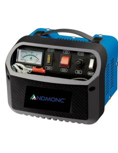 Caricabatterie Auto Moto Camper Barca 12V-24V 60A 360W... 2