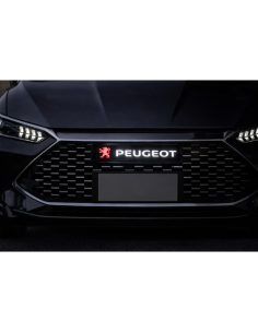 copy of 1x Distintivo con logo illuminato con emblema... 2