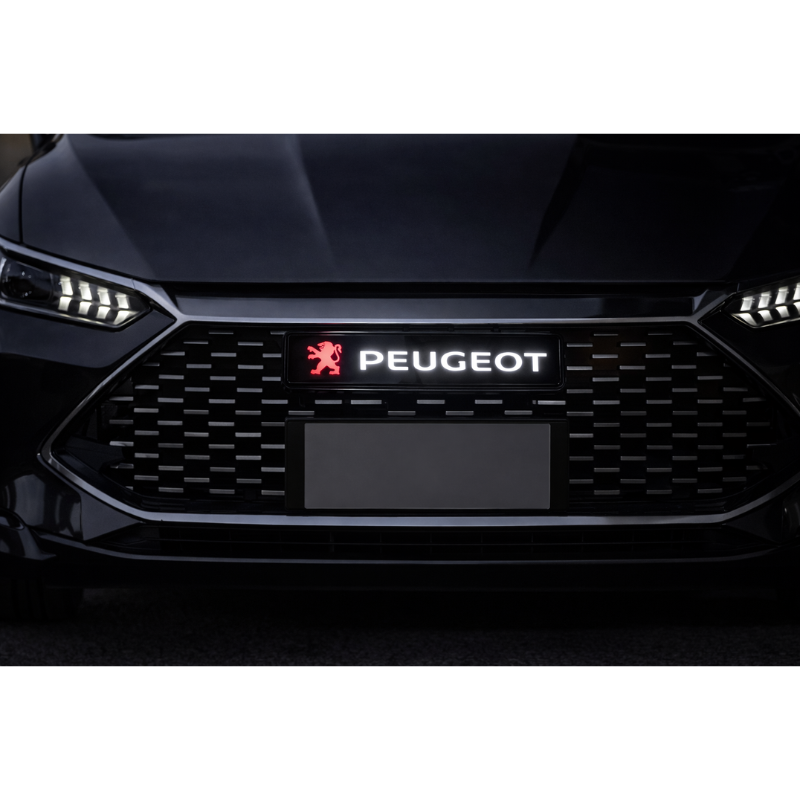 1x Distintivo con logo illuminato con emblema...