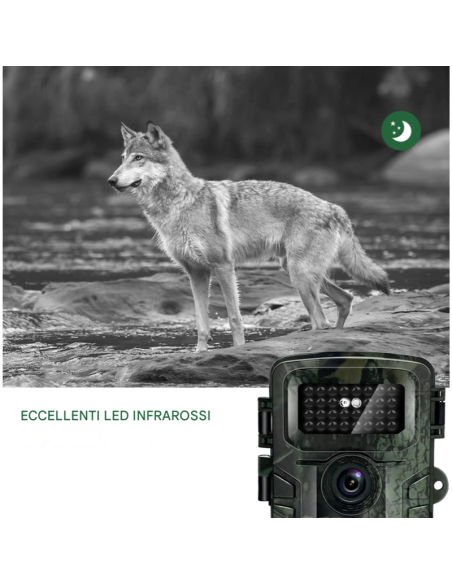 2x Fotocamera Caccia 36MP 1080P HD LCD 2.0" Impermeabile fototrappola Infrarossi