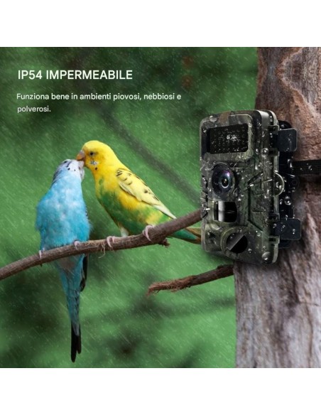 2x Fotocamera Caccia 36MP 1080P HD LCD 2.0" Impermeabile fototrappola Infrarossi