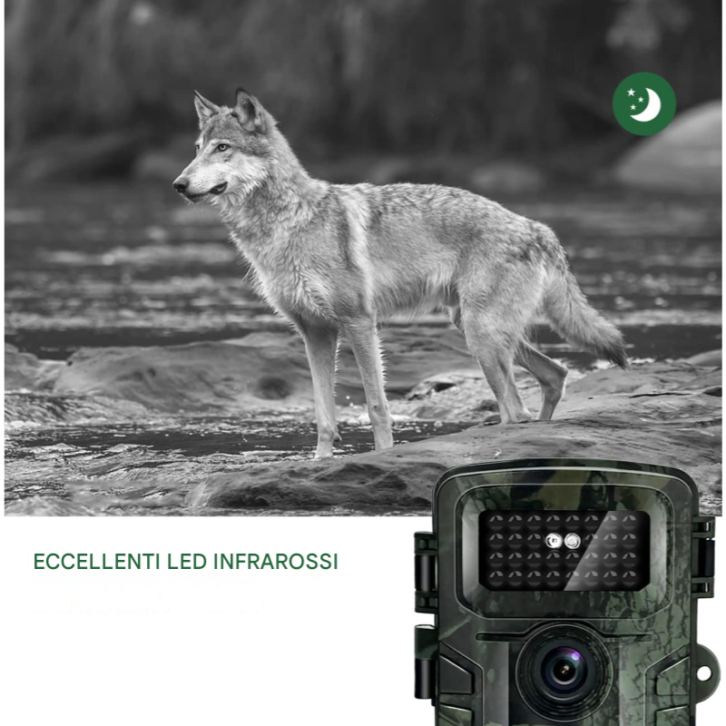 4x Fotocamera Caccia 36MP 1080P HD LCD 2.0"...