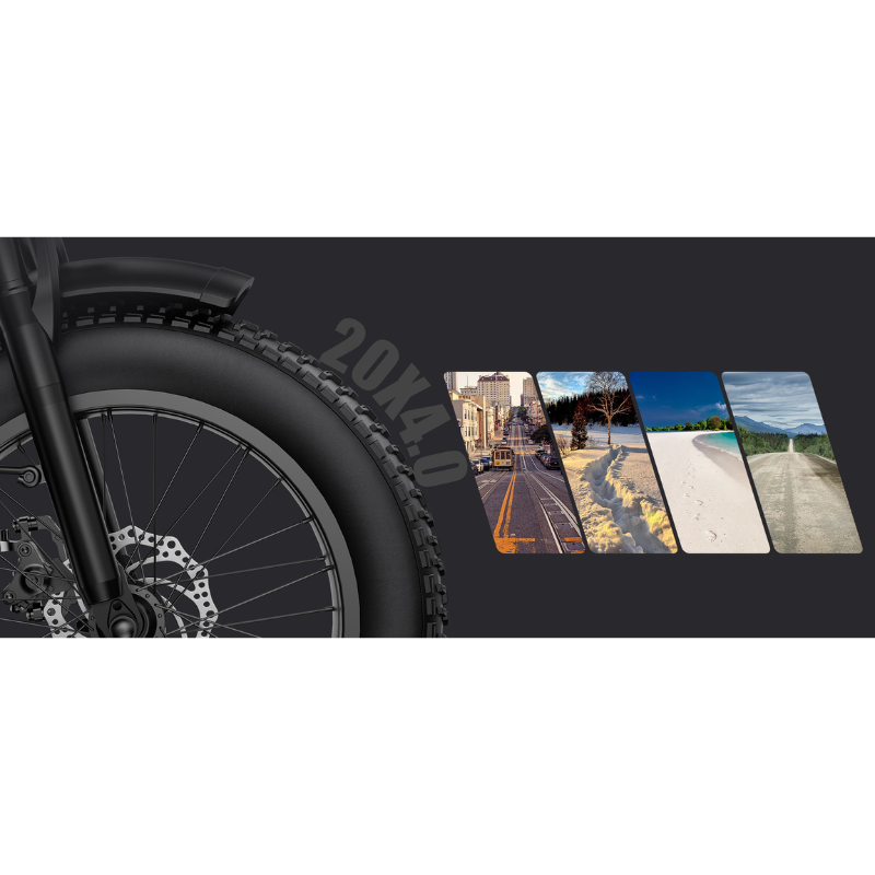 Fat Bike Elettrica G Force RC PRO 750W 48V 20Ah...